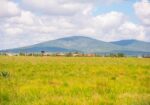 Ahadi Gardens Plots Phase 2, Kitengela