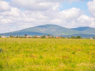 441954458_466749625924735_419808444439457836_n-1