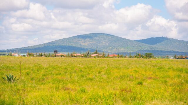 441954458_466749625924735_419808444439457836_n-1