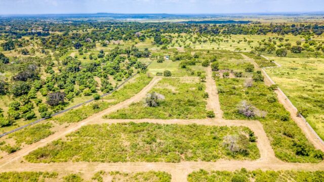 PKPropertiesPhotos2020-0025-DJI_0235