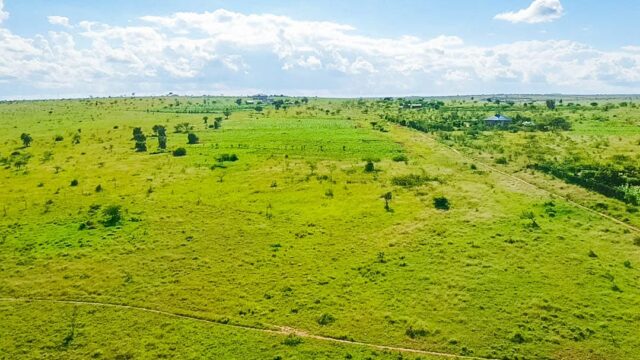 WhatsApp-Image-2024-06-08-at-4.17.12-PM